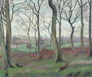 La route de Dunmow depuis le bois de Tilty, 1915